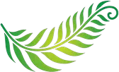 FernLeaf Community Charter School logo