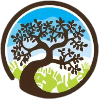 The Mountain Community Sch logo