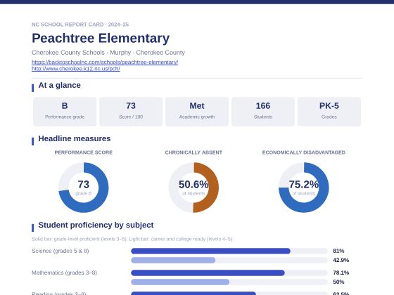 First page of the Peachtree Elementary report card PDF