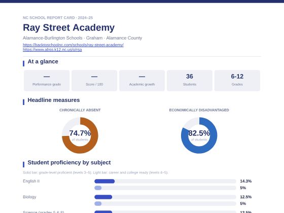 First page of the Ray Street Academy report card PDF