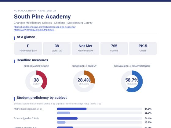 First page of the South Pine Academy report card PDF
