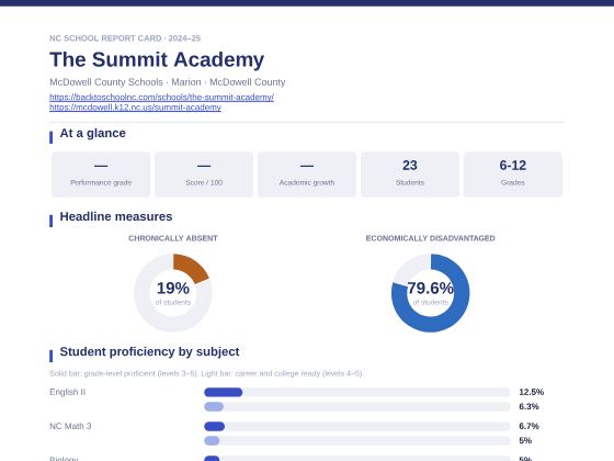 First page of the The Summit Academy report card PDF